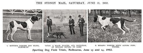 Sydney-Mail-21-June-1902-pics-of-winners-of-first-field-trial  No 2.JPG